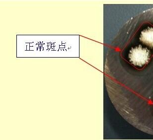 光譜標(biāo)樣 光譜標(biāo)樣