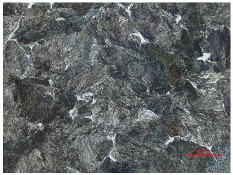 工業(yè)顯微鏡 工業(yè)顯微鏡