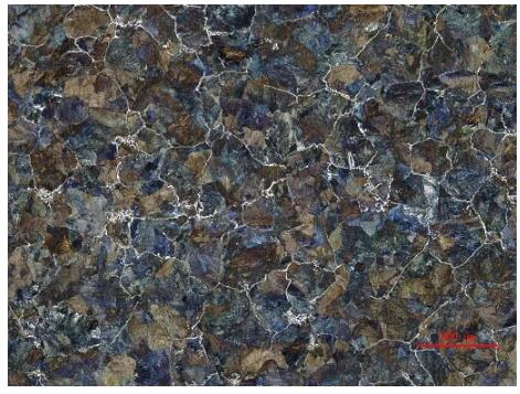 金相顯微鏡 金相顯微鏡