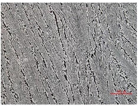 金相顯微鏡 金相顯微鏡